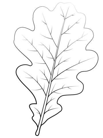 English Oak Leaf Coloring Page